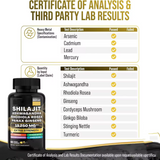 Shilajit Multivitamin (Turmeric, Ashwagandha, Ginger, Cordyceps Mushrooms)